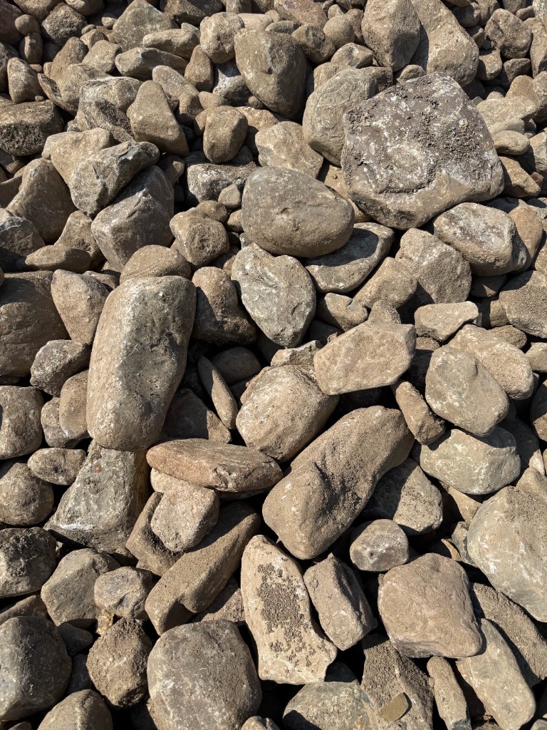 Large cobble: oversized rounded stone in gray and tan.